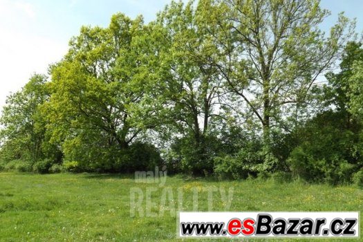 Pozemky, zahrada , Radimovice u Tábora, ev.č. 15172 – fotografie 3
