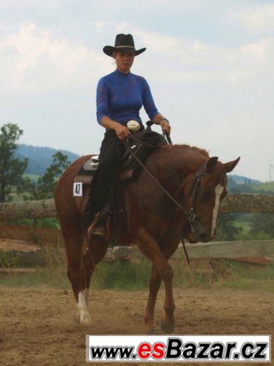 Klisna American Paint Horse – fotografie 1