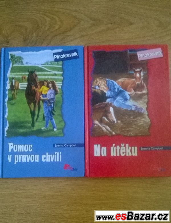 Prodej knížek – fotografie 5