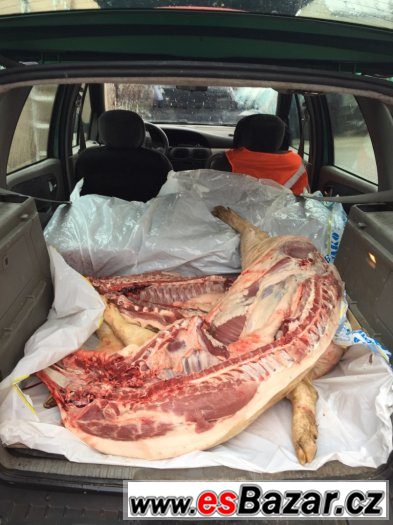 PRODÁM DOMA VYKRMENÉ PRASE NA ZABITÍ Váha 140-150 kg – fotografie 3