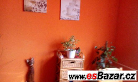 Orlová - prodám prostorný byt 3+1 o rozloze 84 m2 – fotografie 4
