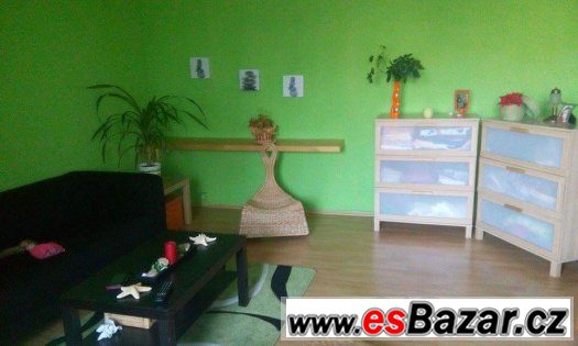 Orlová - prodám prostorný byt 3+1 o rozloze 84 m2 – fotografie 5