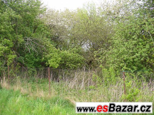Prodej zahrady 2 276 m2, Bačkov okr. Havl.Brod – fotografie 3