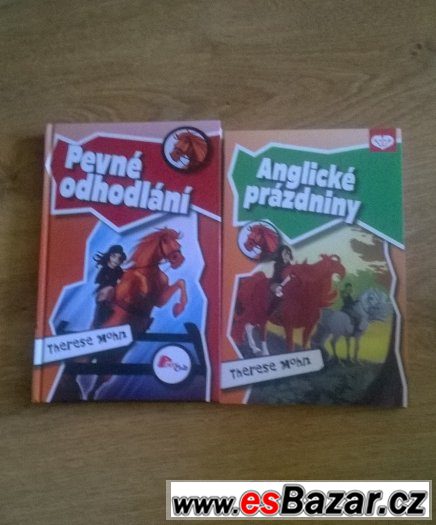Prodej knížek – fotografie 2