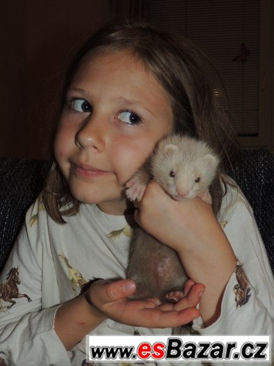 POSLEDNÍ KLUK (9TÝDNŮ) S PP JIŽ K ODBĚRU – fotografie 1