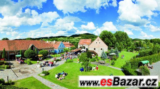 ošetřovatel koní - stájník, trenér – fotografie 1