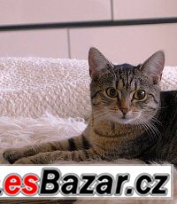 Mirka – fotografie 1