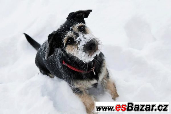 Lady – fotografie 2