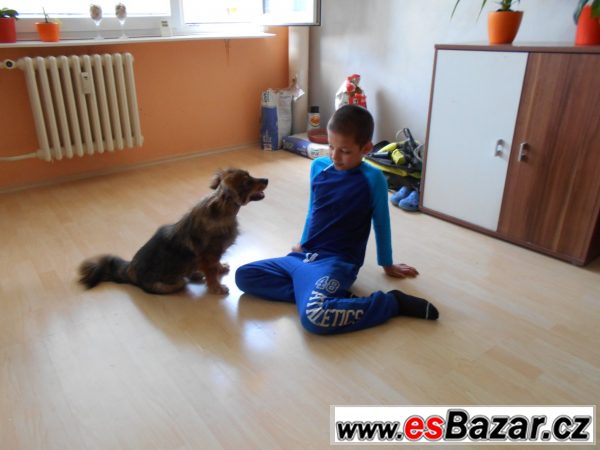 Kříženečka  Bella – fotografie 4