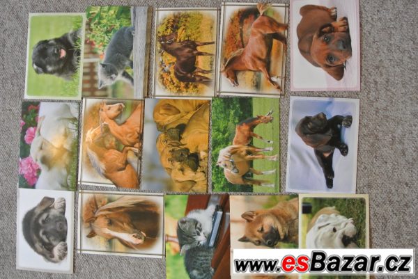Pohlednice, přání, dopisní papíry – fotografie 5