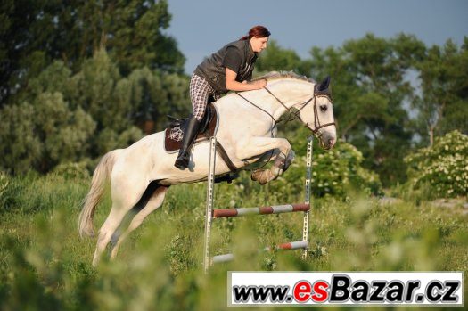 Hledám práci u koní – fotografie 1