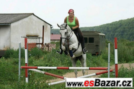 Hledám práci u koní – fotografie 2