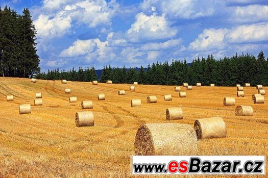 Levně prodám slámu - středočeský kraj SLÁMA NA PRODEJ – fotografie 1