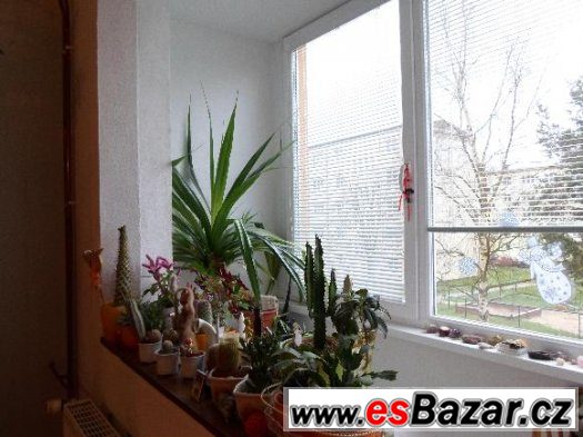 Prodej bytu 3+1 s garáží Hroznětín – fotografie 1