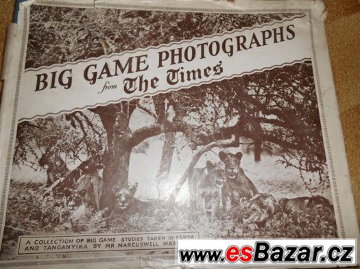 Big Game Photographs from The Times – fotografie 1