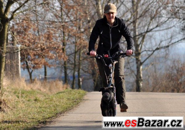 Darujeme Patterdale teriéra – fotografie 5