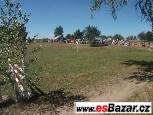 Koupím byt 3+1 v JH, jen sídliště Vajgar – fotografie 1