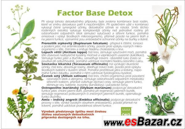 Factor báze-DETOX – fotografie 1