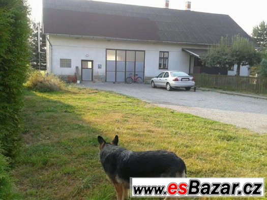 Rodinný dům s motoservisem Pánské Nové Dvory - FM – fotografie 1