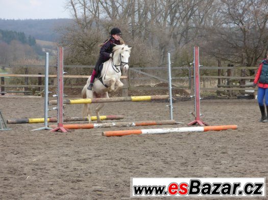 luxusní pony pro mladé jezdce -doprava 26.8.2015 směr Praha – fotografie 3