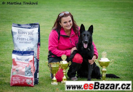 NĚMECKÝ OVČÁK, štěně pejsek na sport a chov – fotografie 2