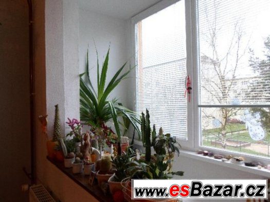 Prodej bytu Hroznětín 3+1 první patro+garáž – fotografie 1