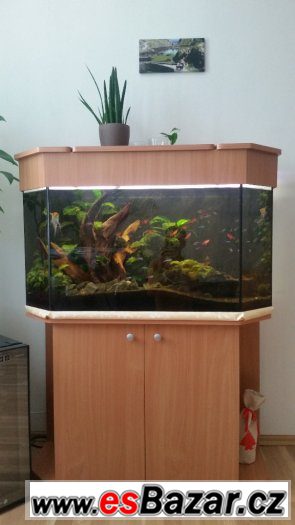 Prodám akvárium 190L se skřínkou komplet – fotografie 1
