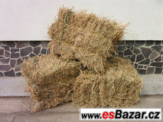 Vojtěška - malé hranaté balíky - Chomutovsko – fotografie 1