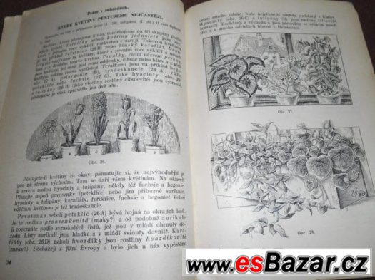 Biologie a Mineralogie s Geologií 1948 R. Pelíšek – fotografie 3
