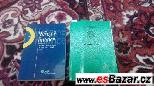Veřejné finance a bankovnictví – fotografie 1