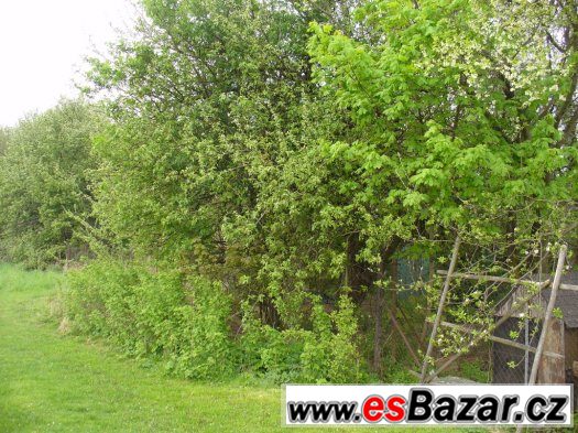 Prodej zahrady 2 276 m2, Bačkov okr. Havl.Brod – fotografie 1