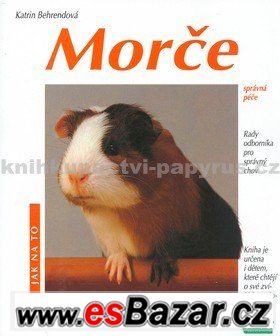 Odborná publikace-morčata – fotografie 1