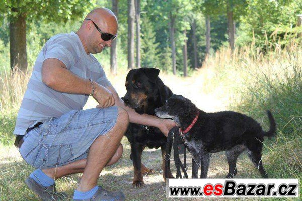 Ťulda - Kříženec menší - pes – fotografie 2