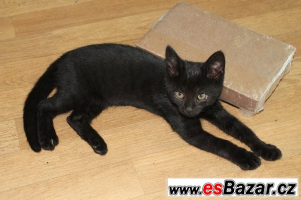 Louis z Jasmíny, 4 měs. – fotografie 1