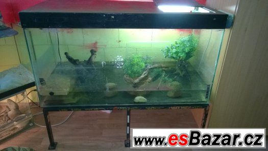 VELKÉ AVARIUM TERARARIUM – fotografie 1
