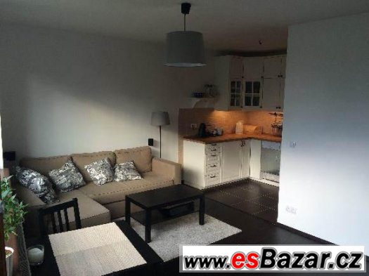 Byt 2+kk, Devonská, 48m2 – fotografie 1