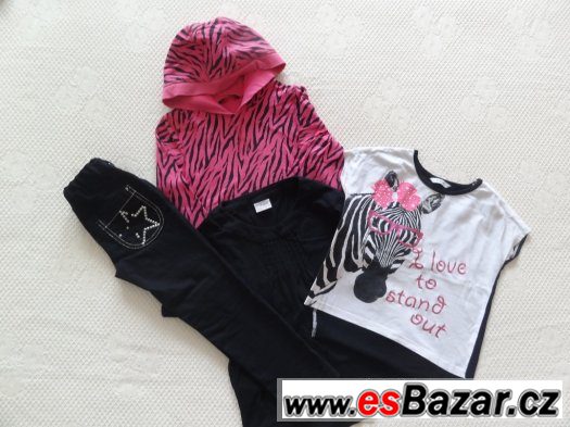 srt zebra 104-110 – fotografie 3