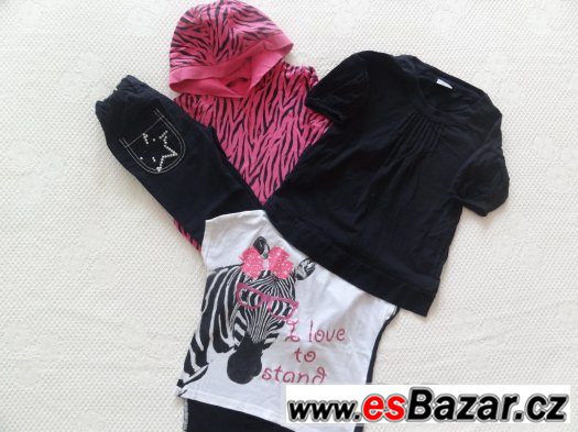 srt zebra 104-110 – fotografie 4
