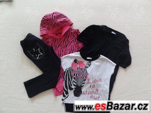 srt zebra 104-110 – fotografie 5