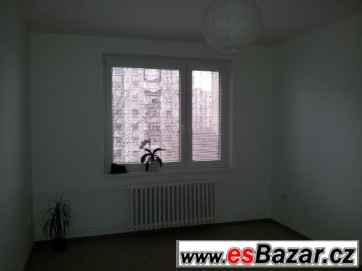 Pronajmu byt – fotografie 5