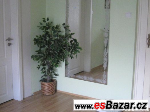 Prodej dvou bytů (194m2) v RD, OV, Praha 10 – fotografie 4