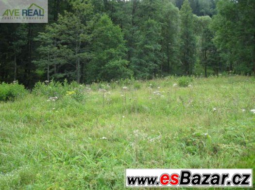 Prodej st. poz. 2.722m2, Sklenařice, Vysoké nad Jizerou – fotografie 5
