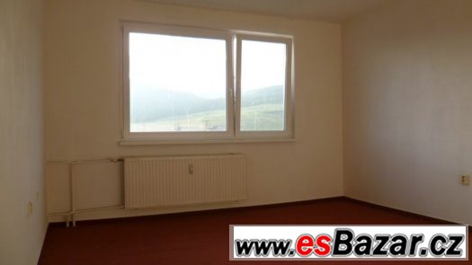 Pronajmu byt 1+1 v Děčíně – fotografie 1