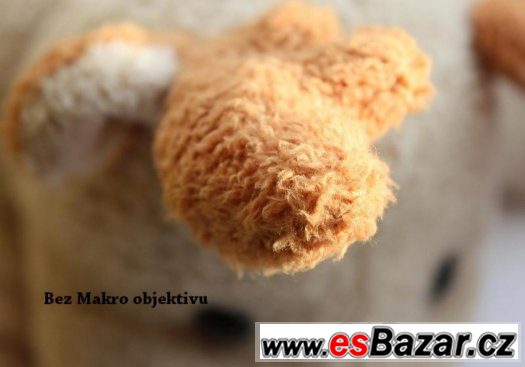 Širokoúhlý objektiv 0.45x + makro objektiv 58 mm. – fotografie 4