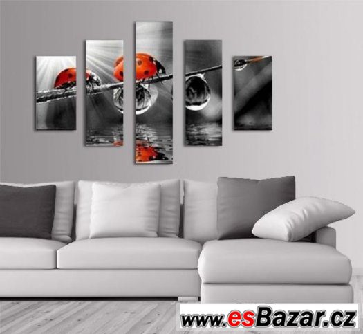 Fotoobraz, obraz - BERUŠKY - velikost 100 x 70 cm – fotografie 1