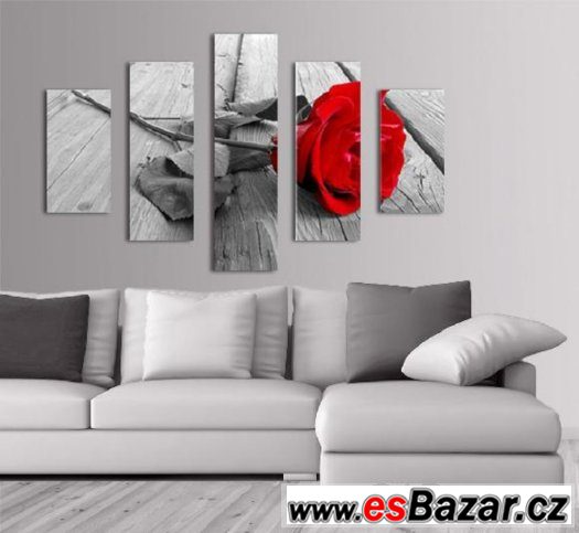 Fotoobraz, obraz - RŮŽE - velikost 100 x 70 cm – fotografie 1