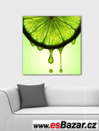 SLEVA 50% Fotoobraz, obraz - LIMETKA - velikost 50 x 50 cm – fotografie 1