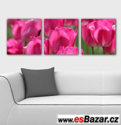 Fotoobraz, obraz - RŮŽOVÉ TULIPÁNY - velikost 90 x 30 cm – fotografie 1