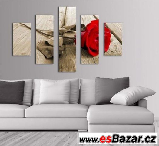 Fotoobraz, obraz - RŮŽE SÉPIE - velikost 100 x 70 cm – fotografie 1