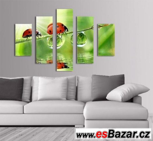 Fotoobraz, obraz - BERUŠKY BAREVNÉ - velikost 100 x 70 cm – fotografie 1